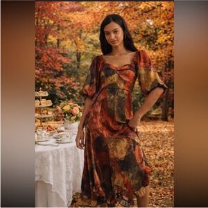 Anthropologie NWT Hutch Printed Twist-Front Puff-Sleeve Ruffle-Hem Midi size XS.